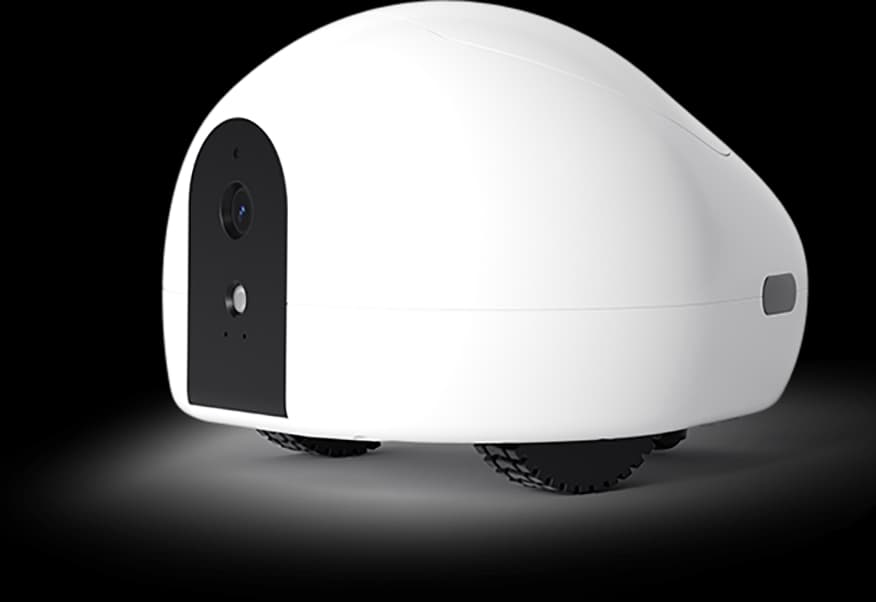 Pumpkii BQ70